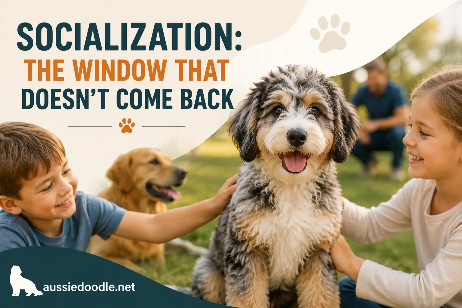 Socialization The Window That Doesn't Come Back