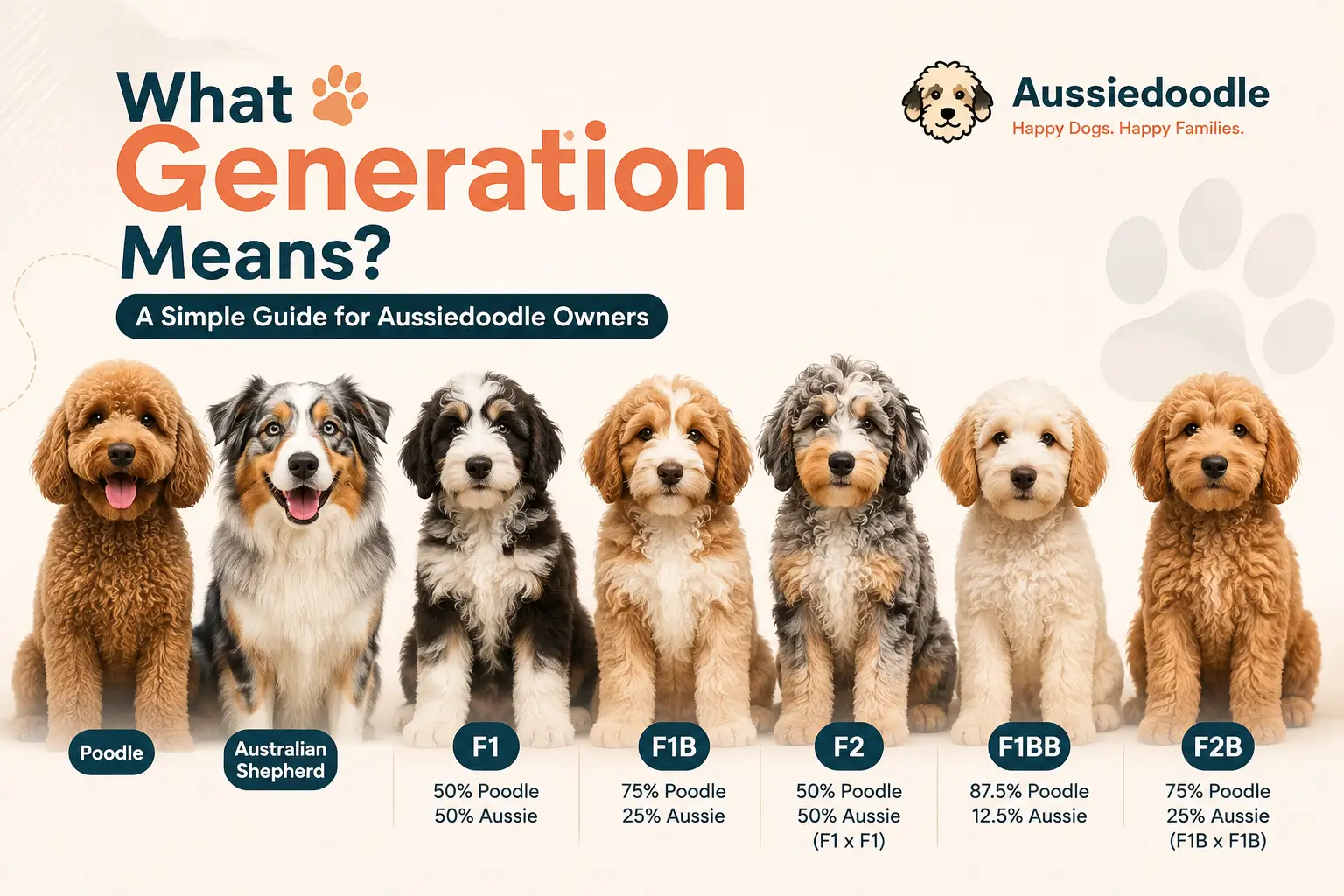 What Does Generation Mean in Aussiedoodles