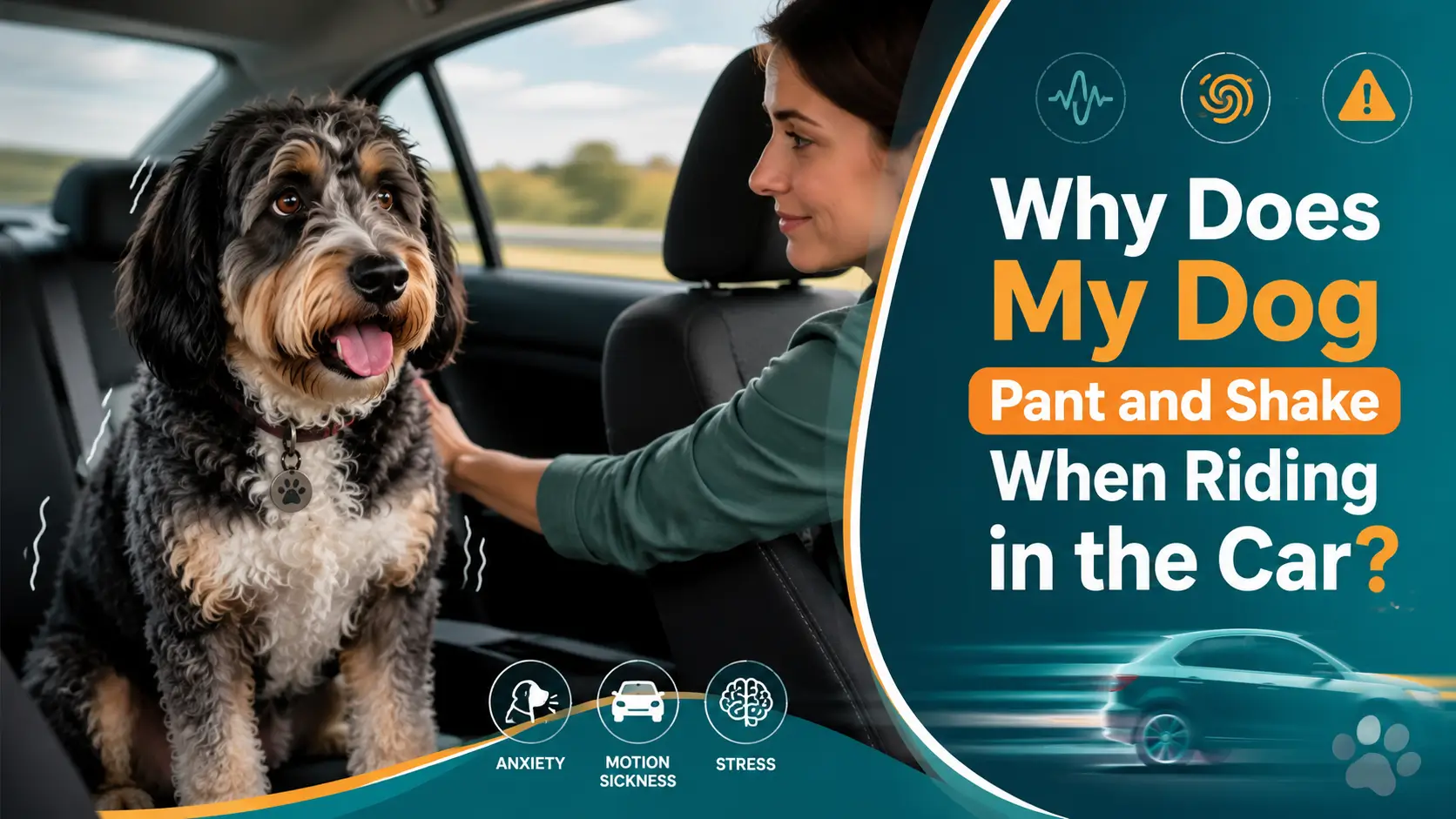 Why Does My Dog Pant and Shake When Riding in the Car